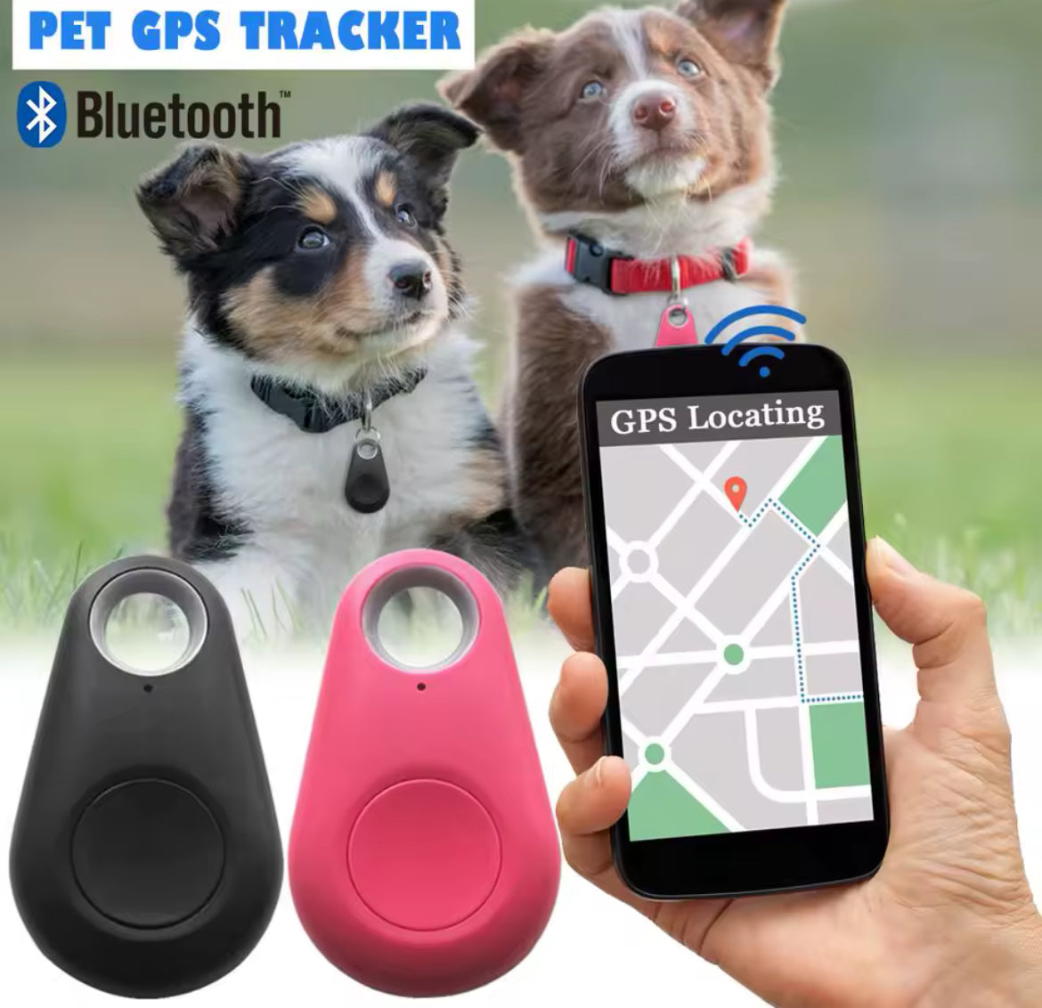 Pet Products